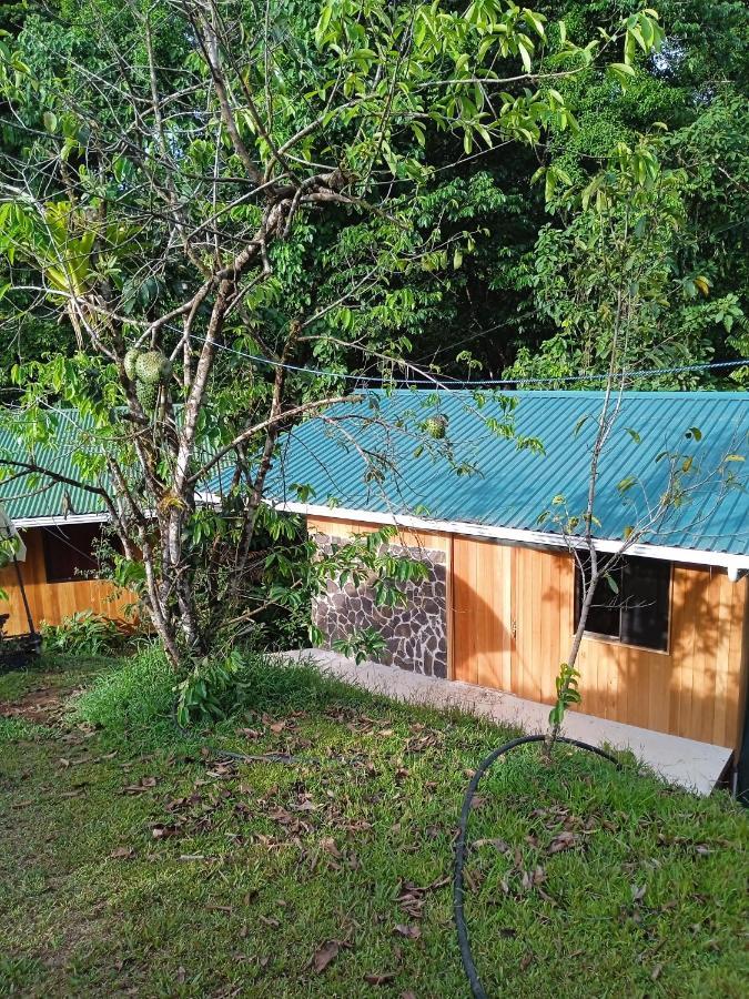Cabanas Bajo Bosque Drake Drakes Bay Buitenkant foto