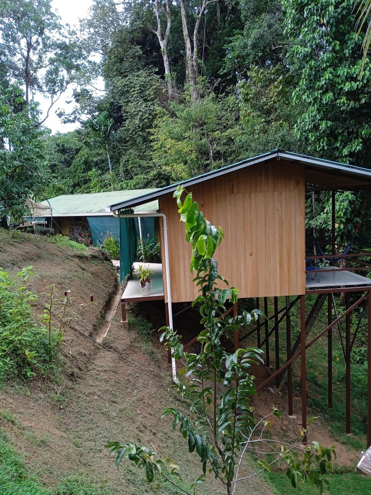 Cabanas Bajo Bosque Drake Drakes Bay Buitenkant foto