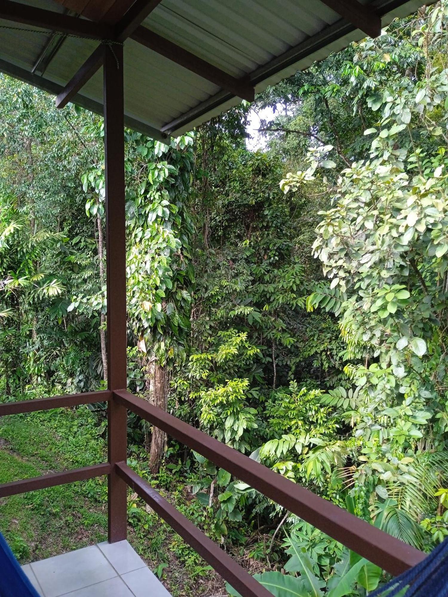 Cabanas Bajo Bosque Drake Drakes Bay Buitenkant foto